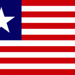 Texas Navy Flag